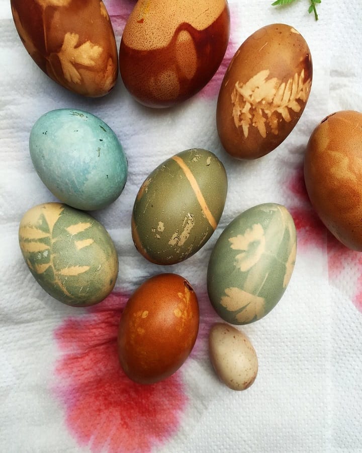 Dye Eggs Naturally